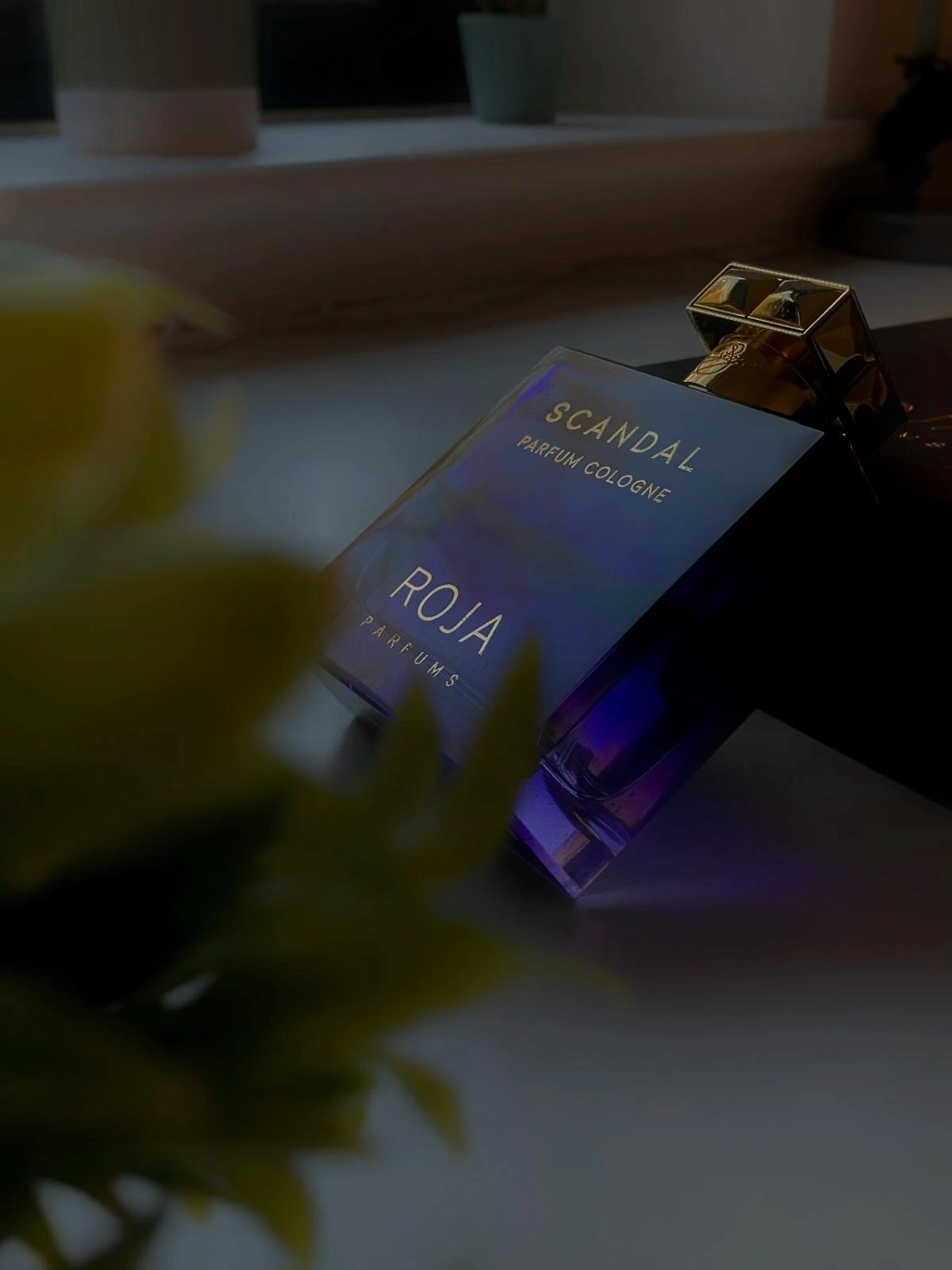 Roja Parfums Scandal Pour Homme Parfum Cologne