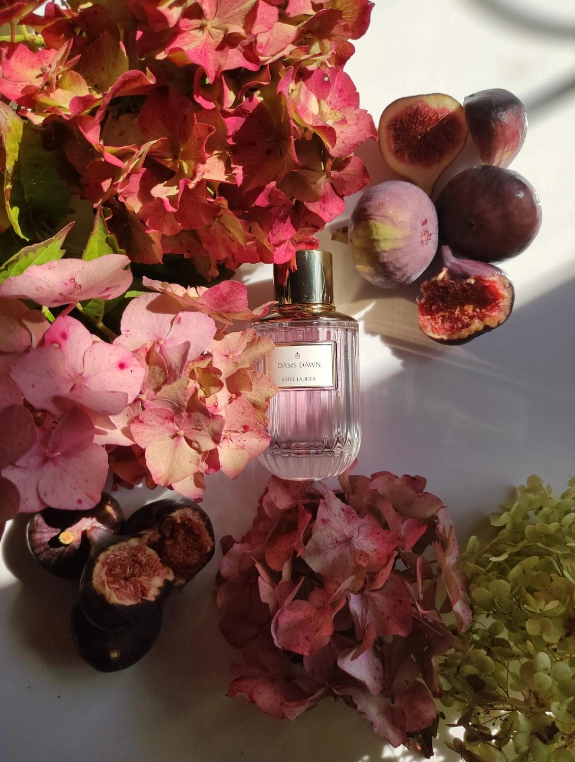 Estée Lauder Oasis Dawn
