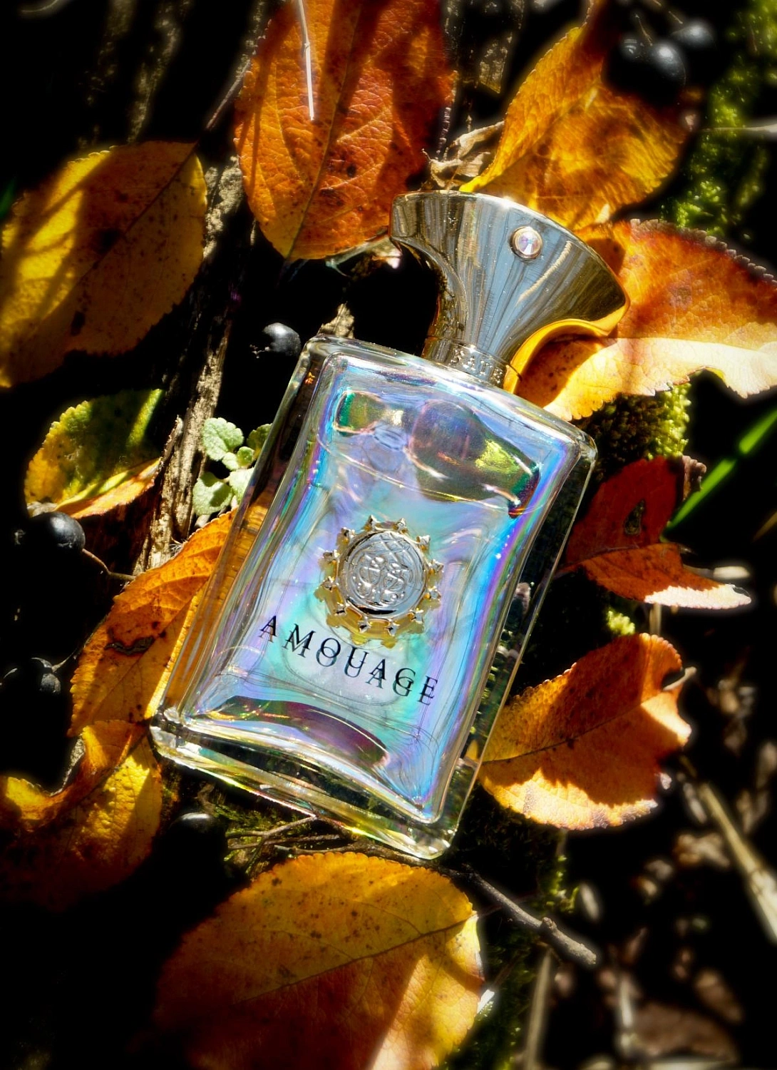 Amouage Fate for Men