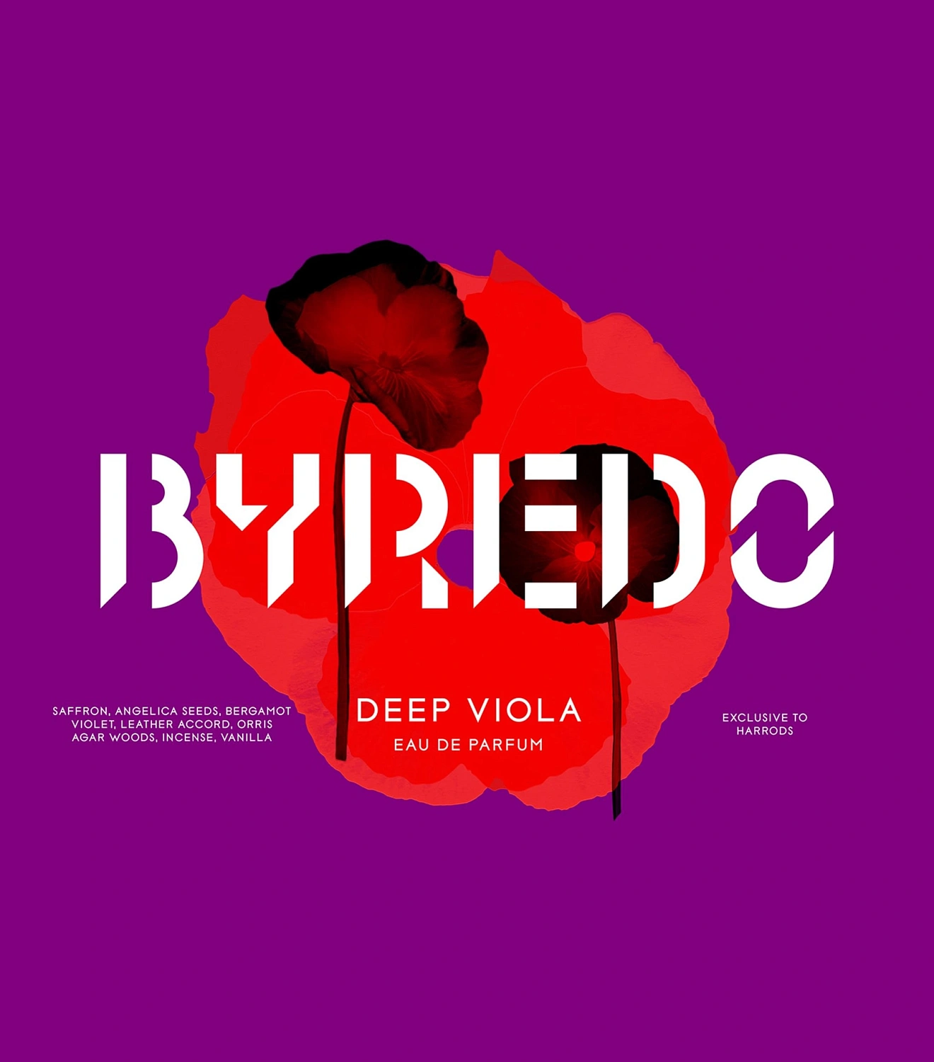 BYREDO Deep Viola