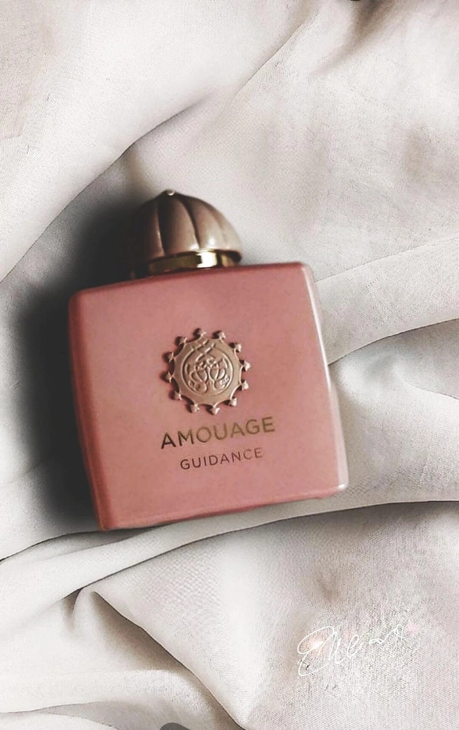 Amouage Guidance