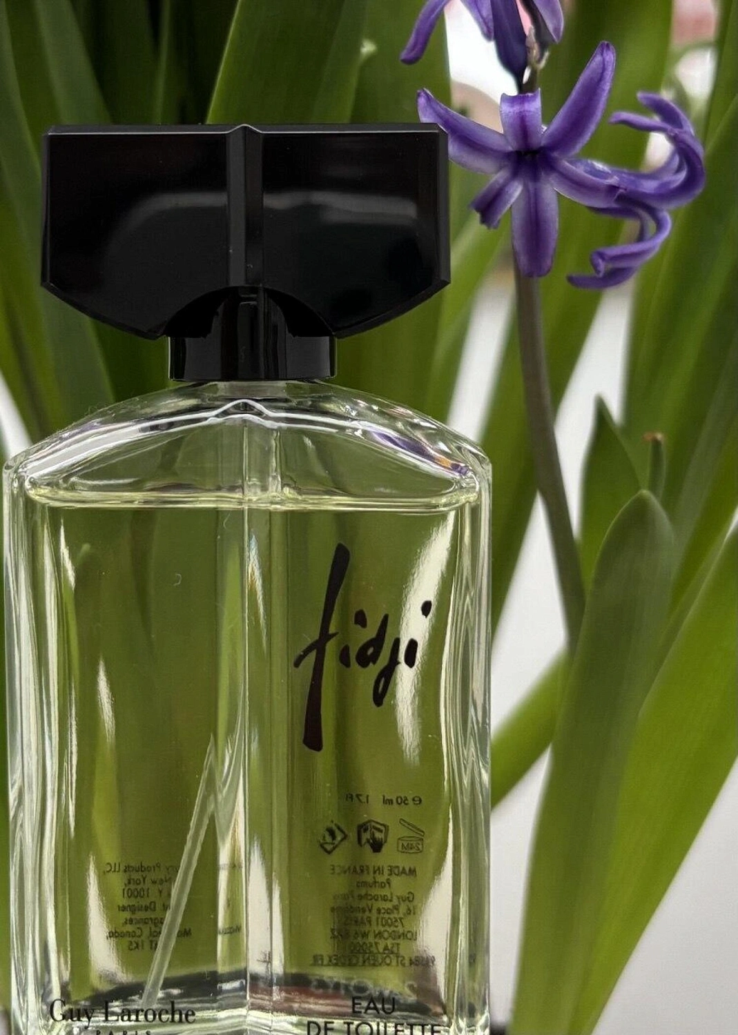 Guy Laroche Fidji