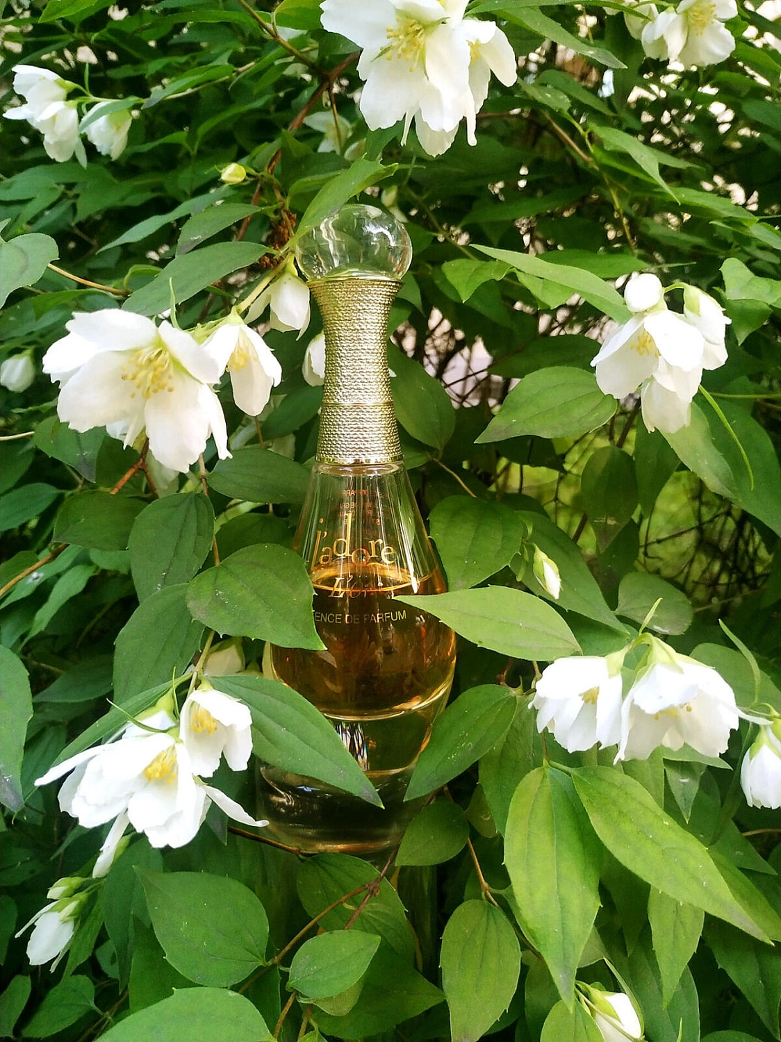 Christian Dior J'Adore L'Or