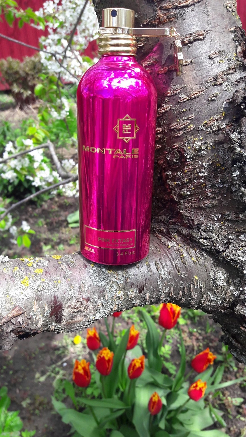 Montale Pink Extasy