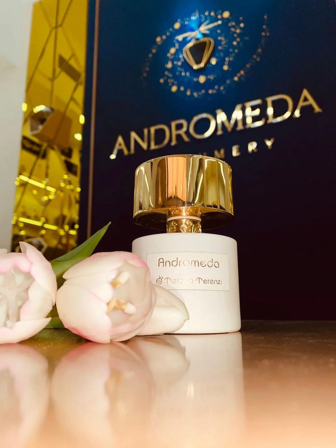 Tiziana Terenzi Andromeda