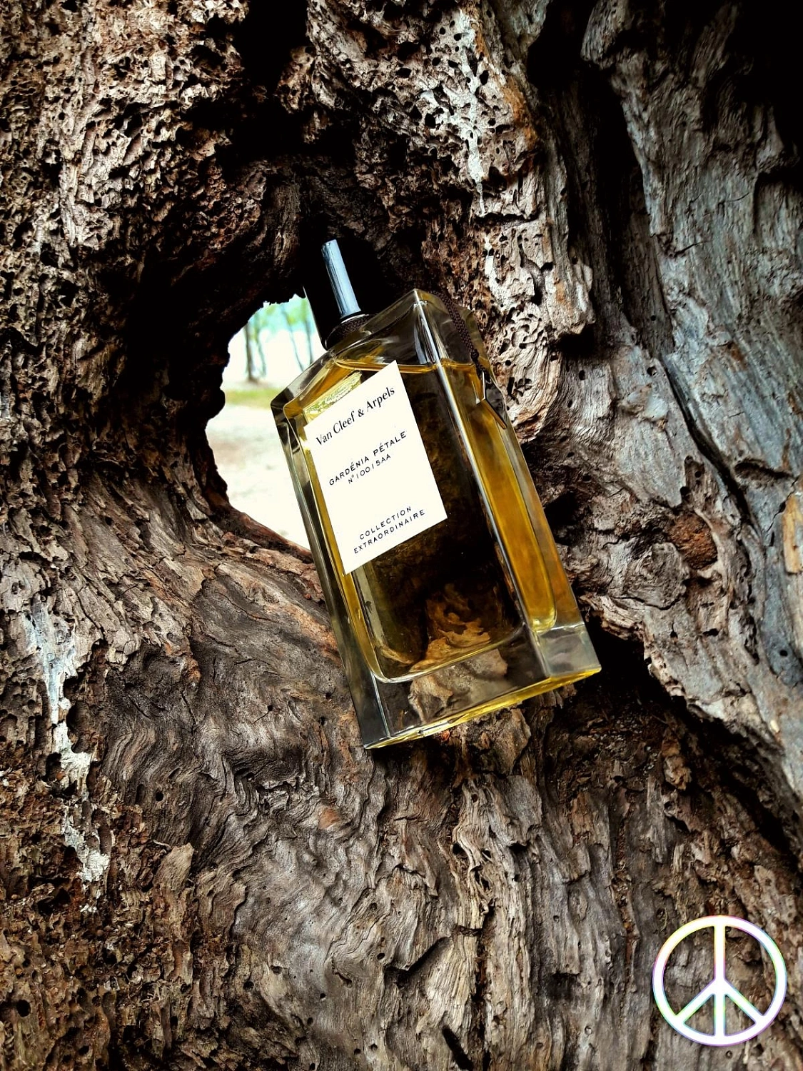 Van Cleef & Arpels Collection Extraordinaire Gardenia Petale