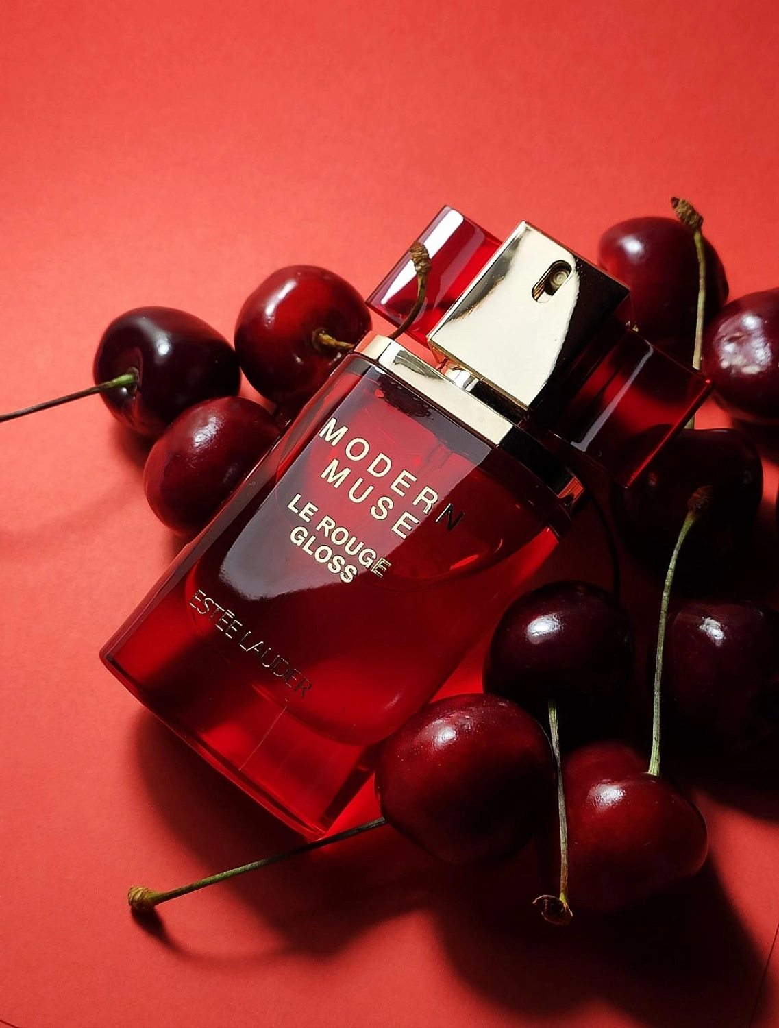 Estée Lauder Modern Muse Le Rouge Gloss