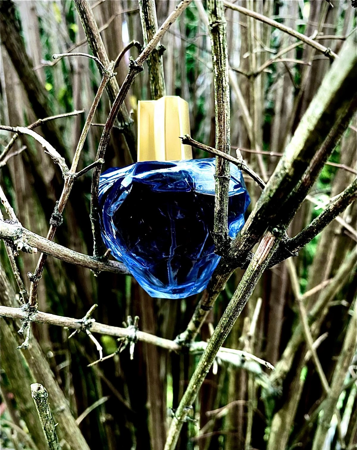 Lolita Lempicka Mon Premier Parfum
