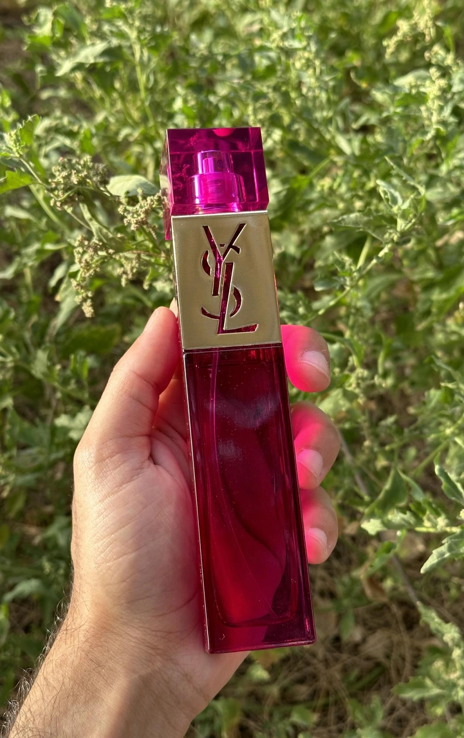 Yves Saint Laurent Elle