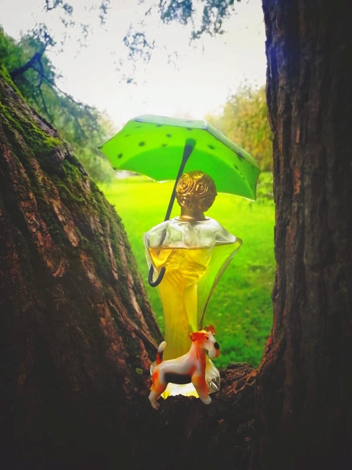 Salvador Dalí Daliflor