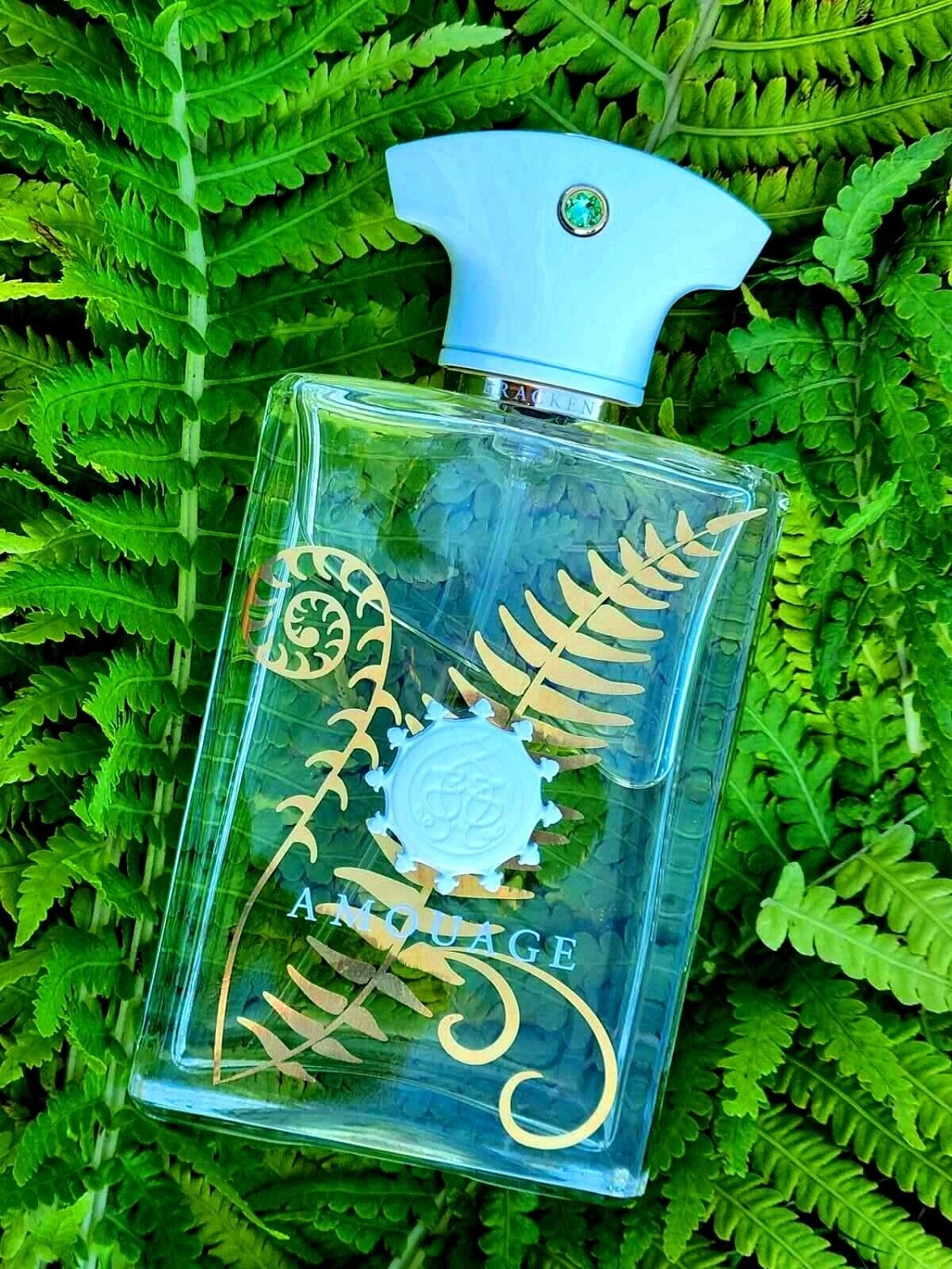 Amouage Bracken Man