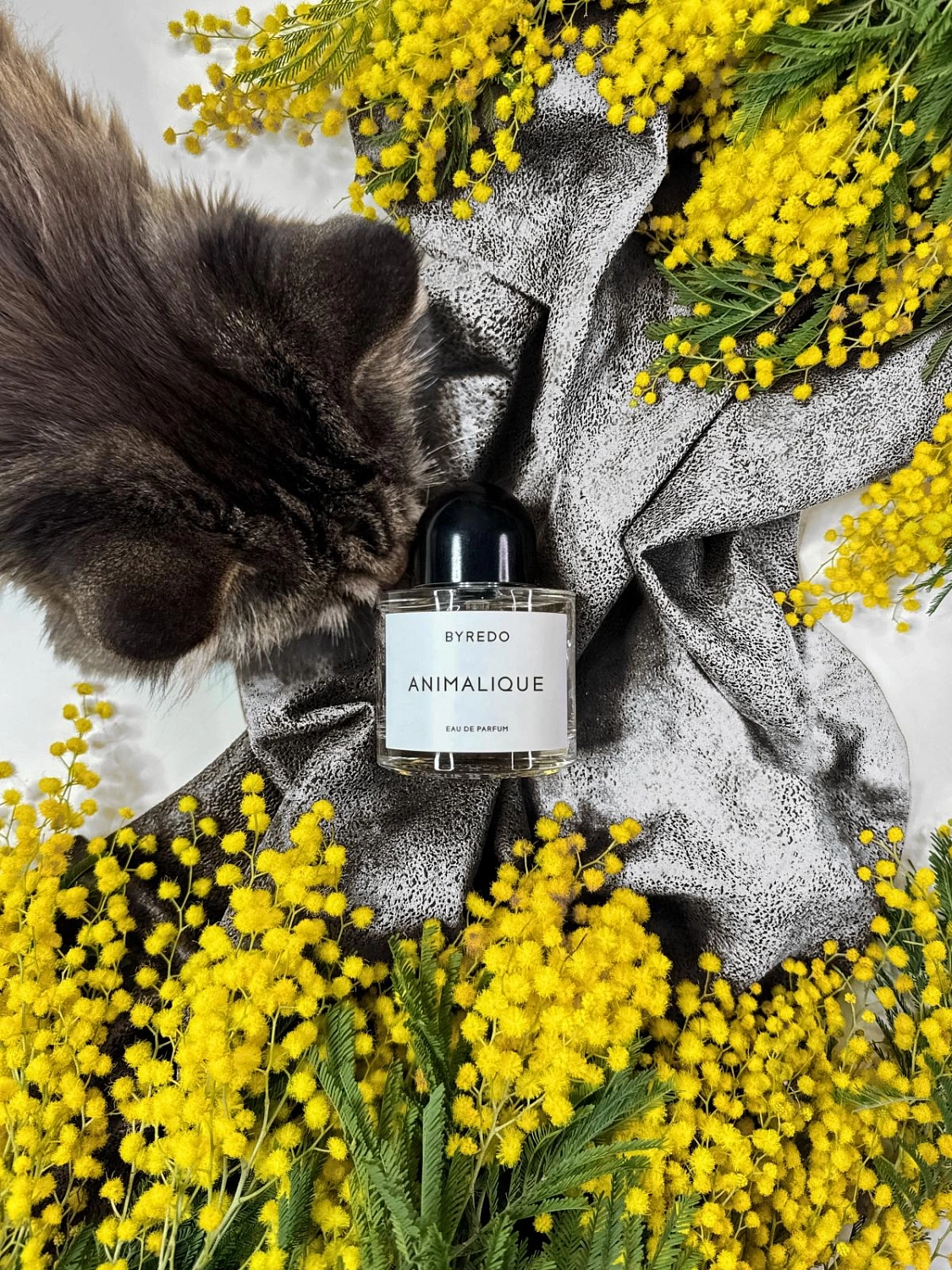 BYREDO Animalique