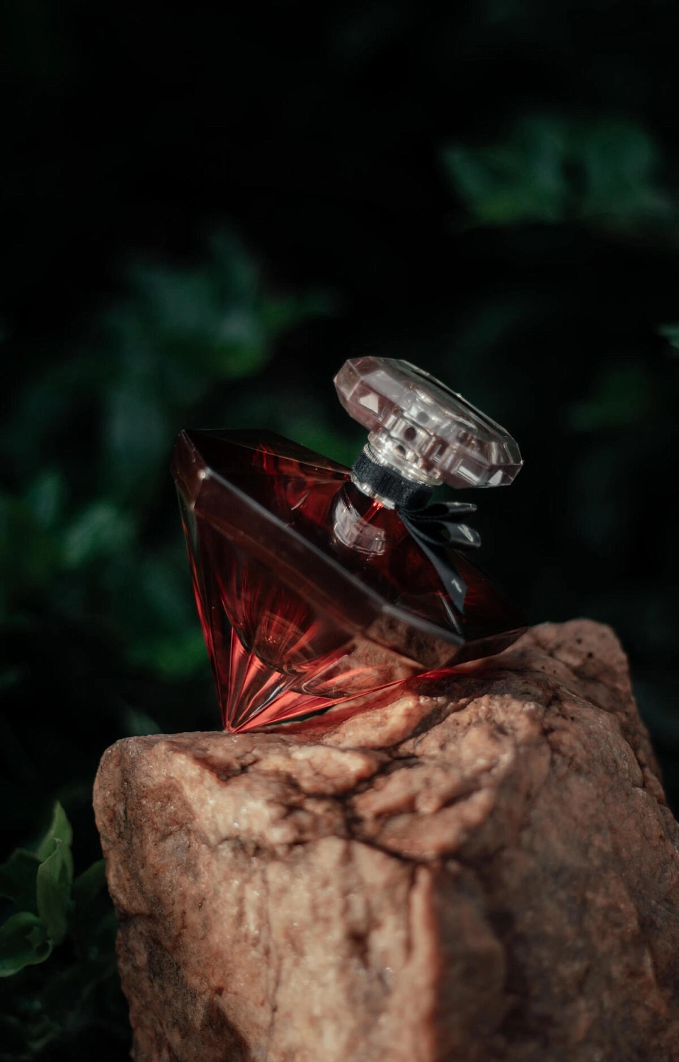 Lancôme La Nuit Tresor a la Folie