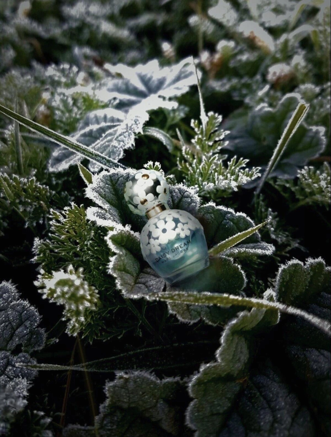 Marc Jacobs Daisy Dream