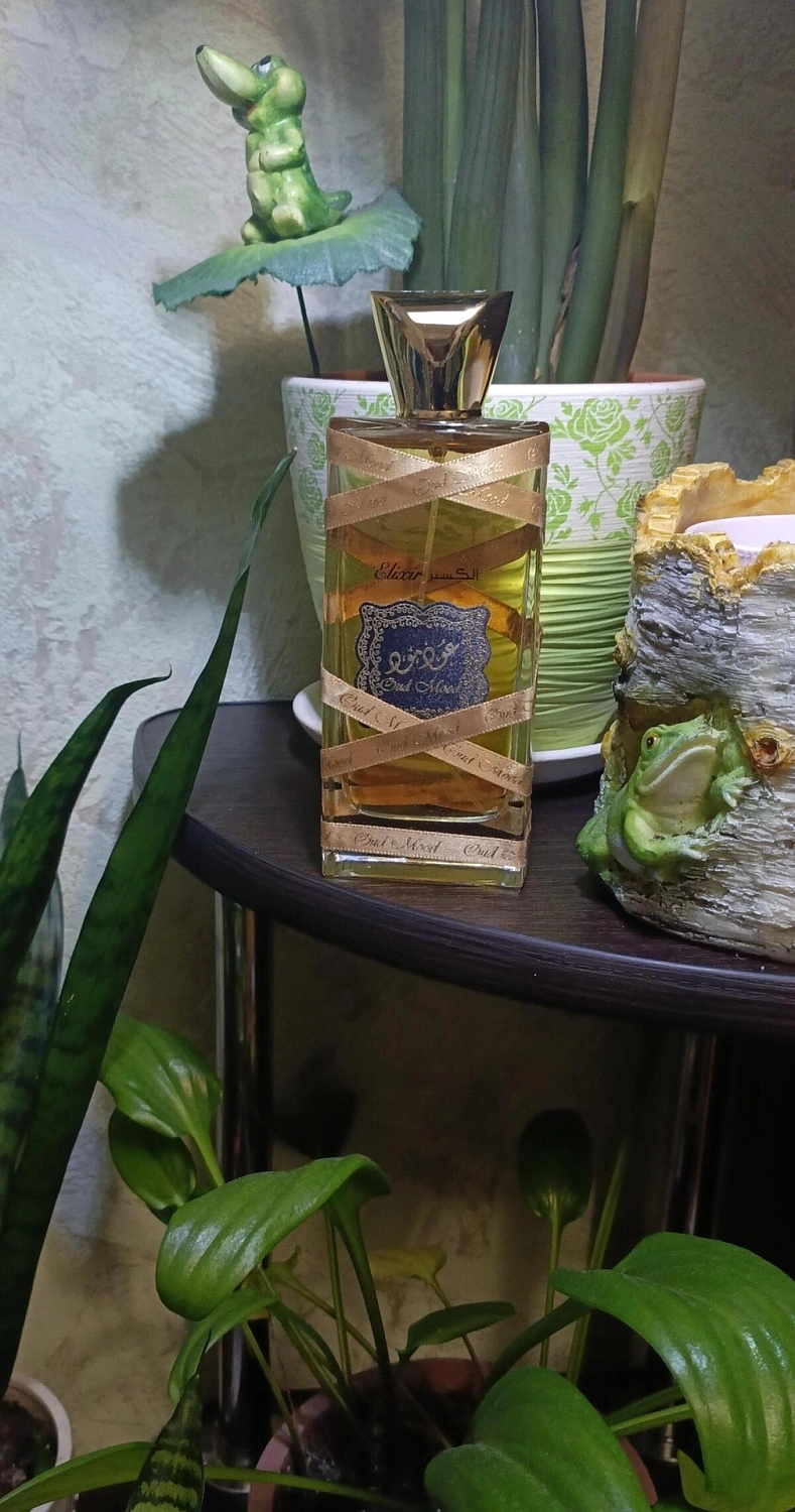Lattafa Oud Mood Elixir