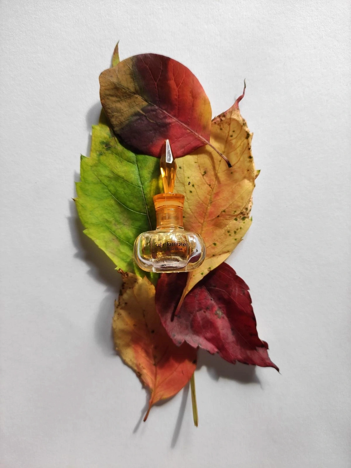 Rochas Alchimie
