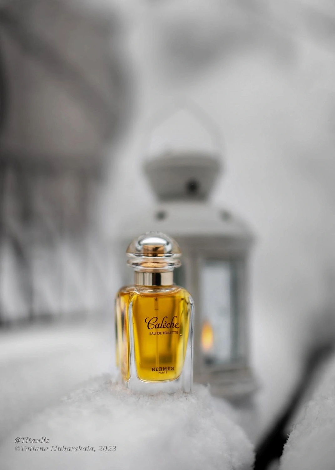 Hermès Caleche