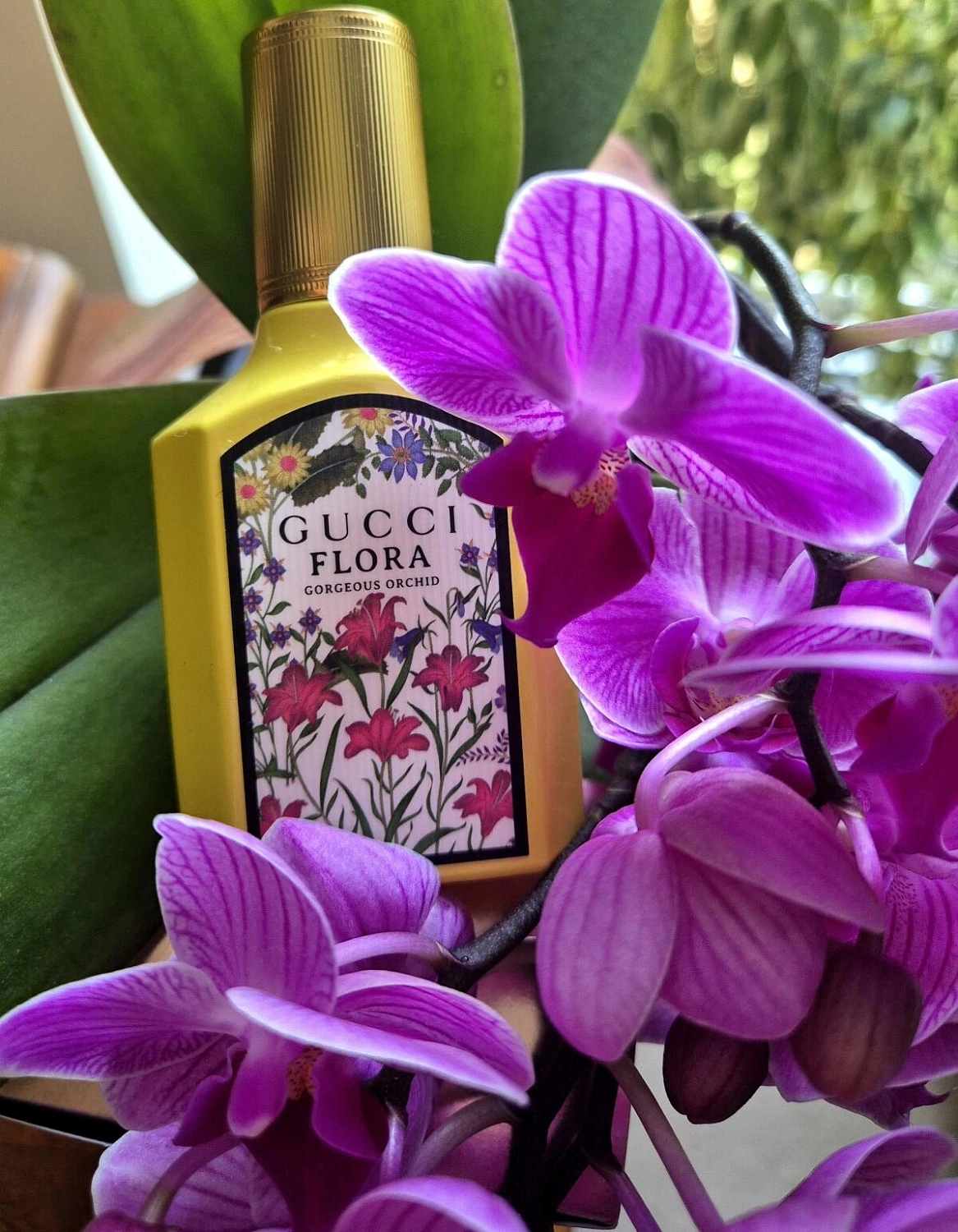 Gucci Flora Gorgeous Orchid