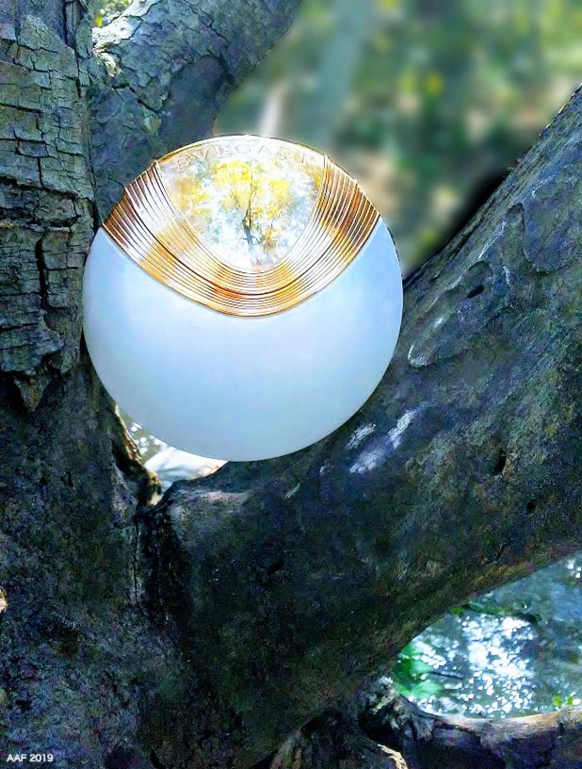 Bvlgari Aqva Divina