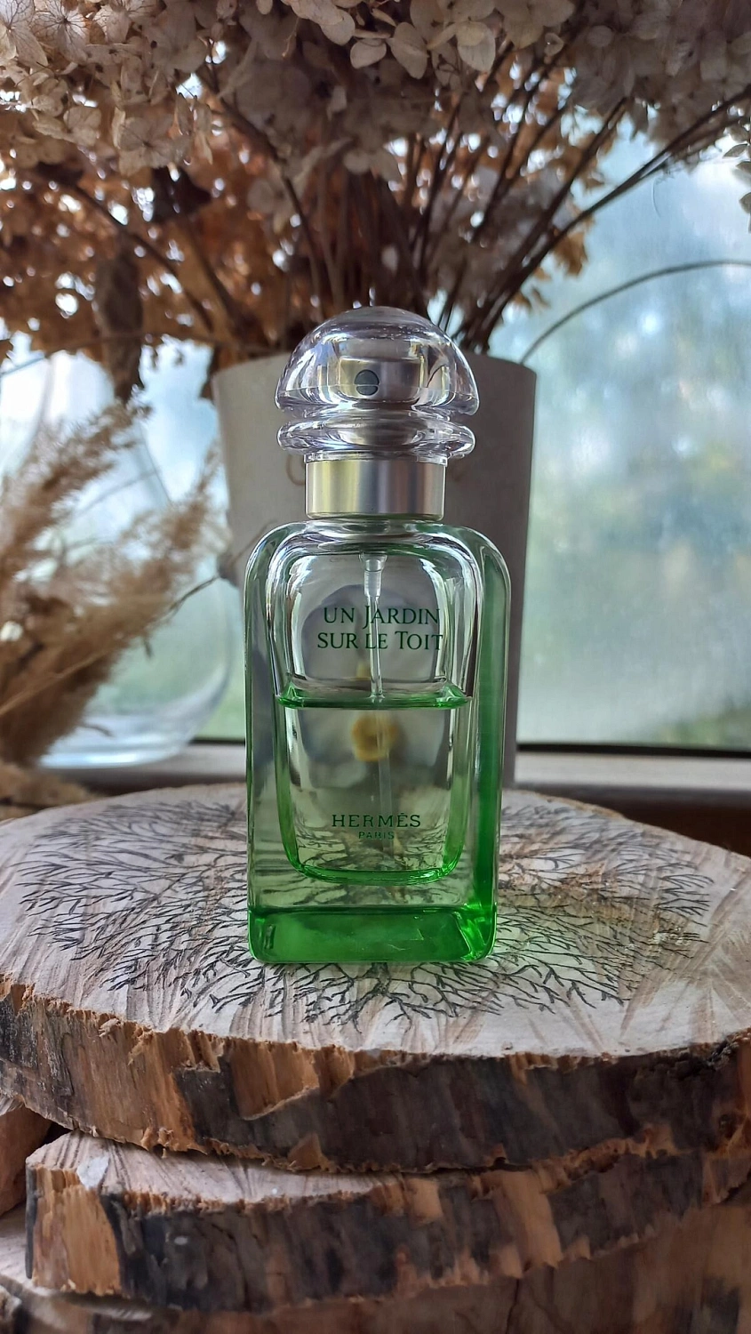 Hermès Un Jardin Sur Le Toit