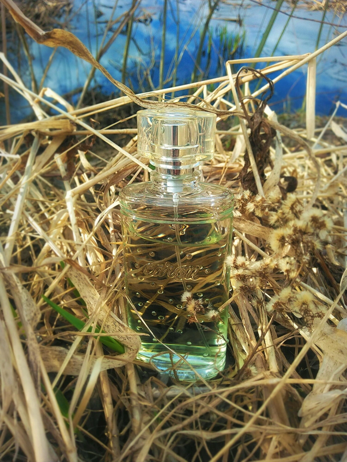 Eaux de Caron Pure