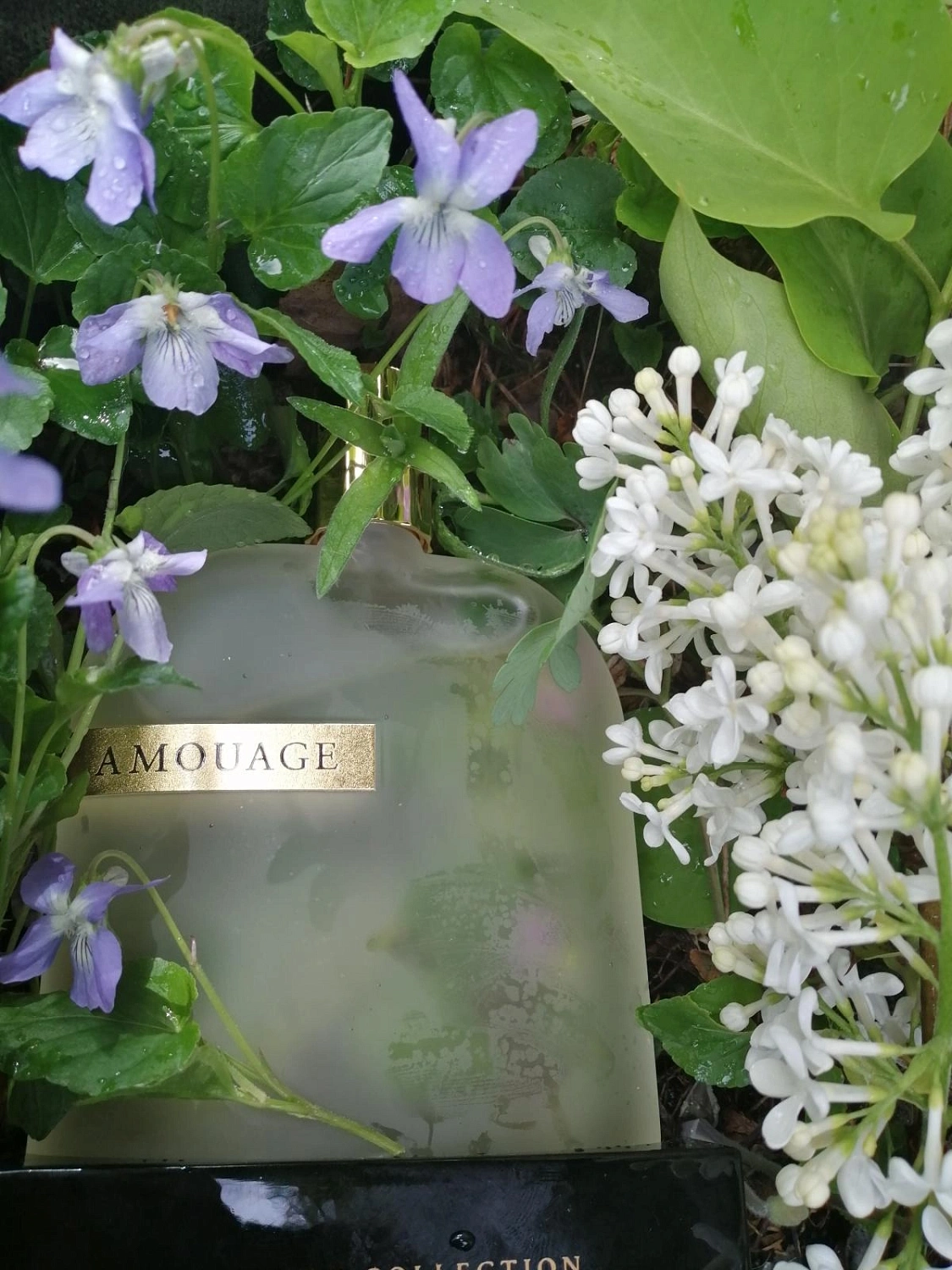 Amouage The Library Collection Opus III