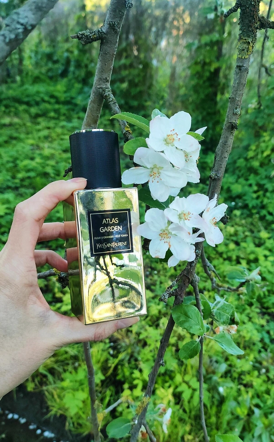 Yves Saint Laurent Atlas Garden
