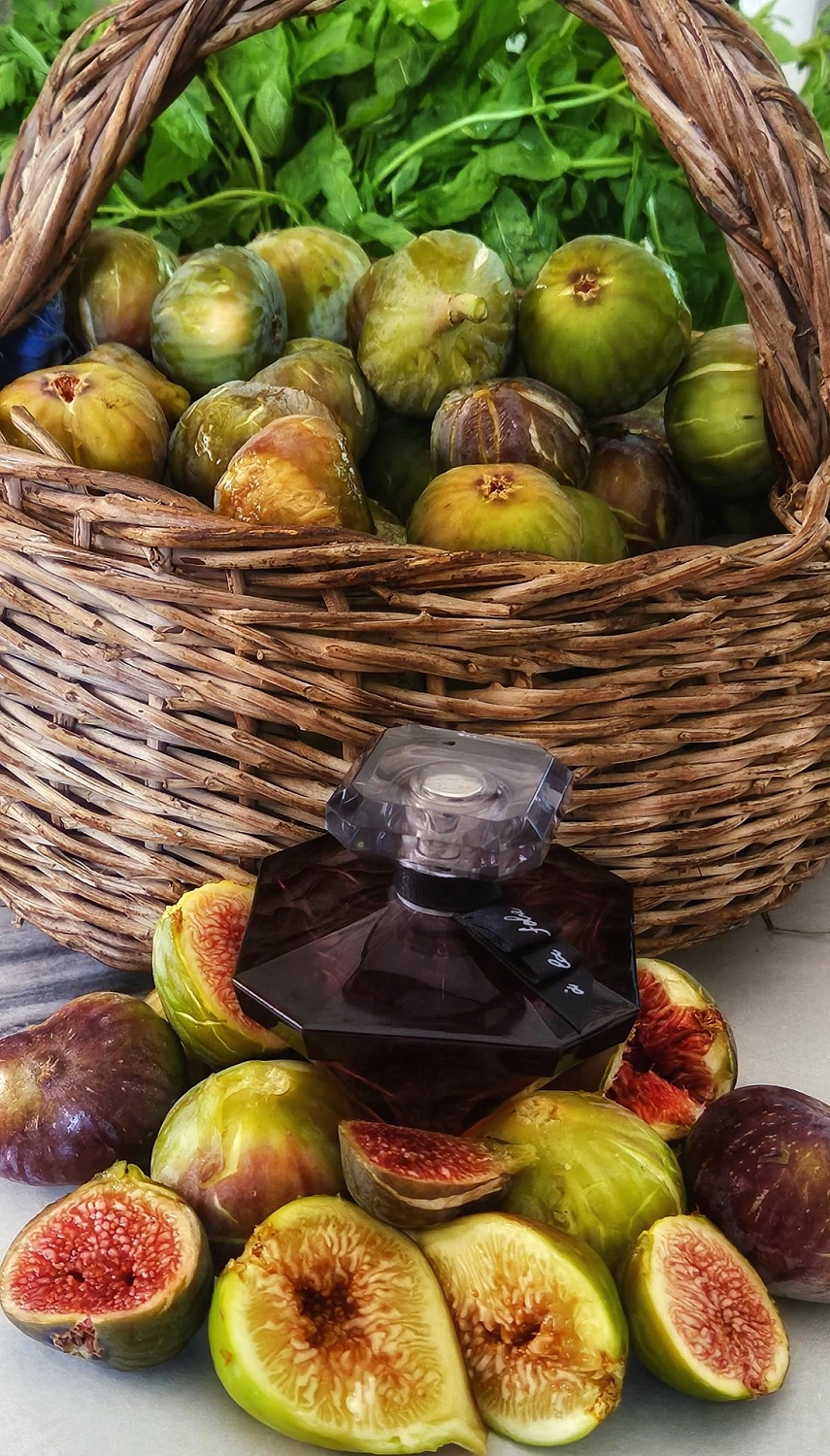 Lancôme La Nuit Tresor a la Folie