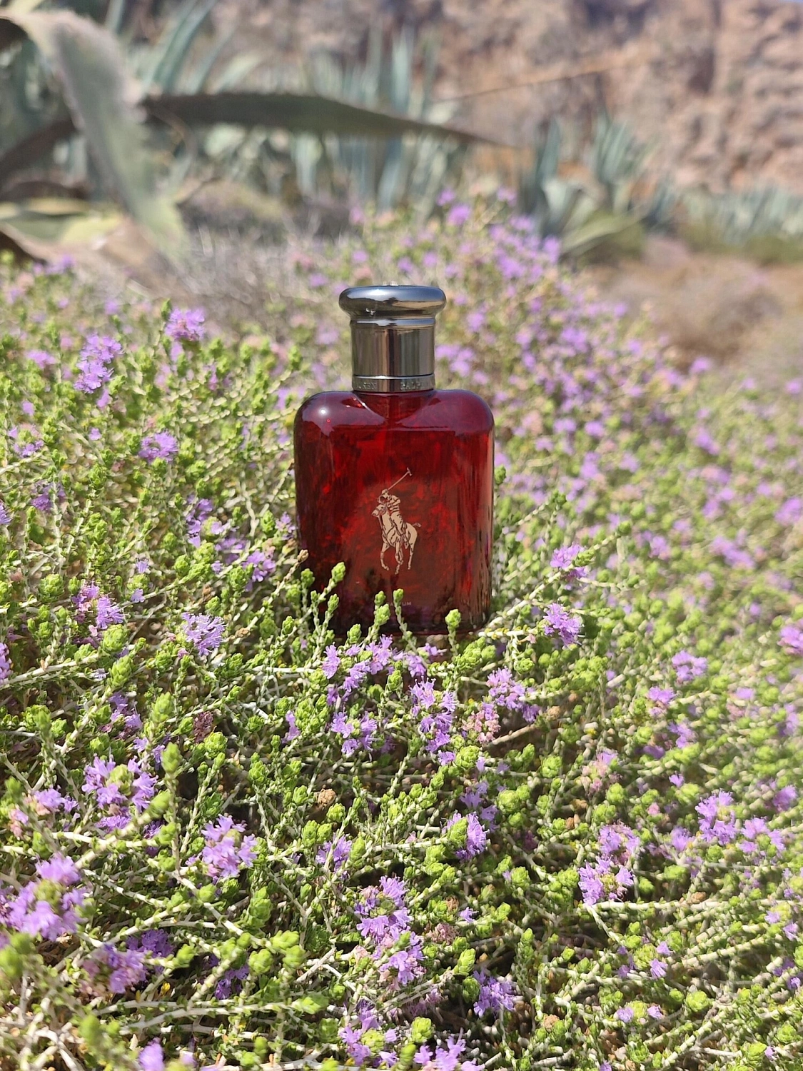 Ralph Lauren Polo Red Parfum