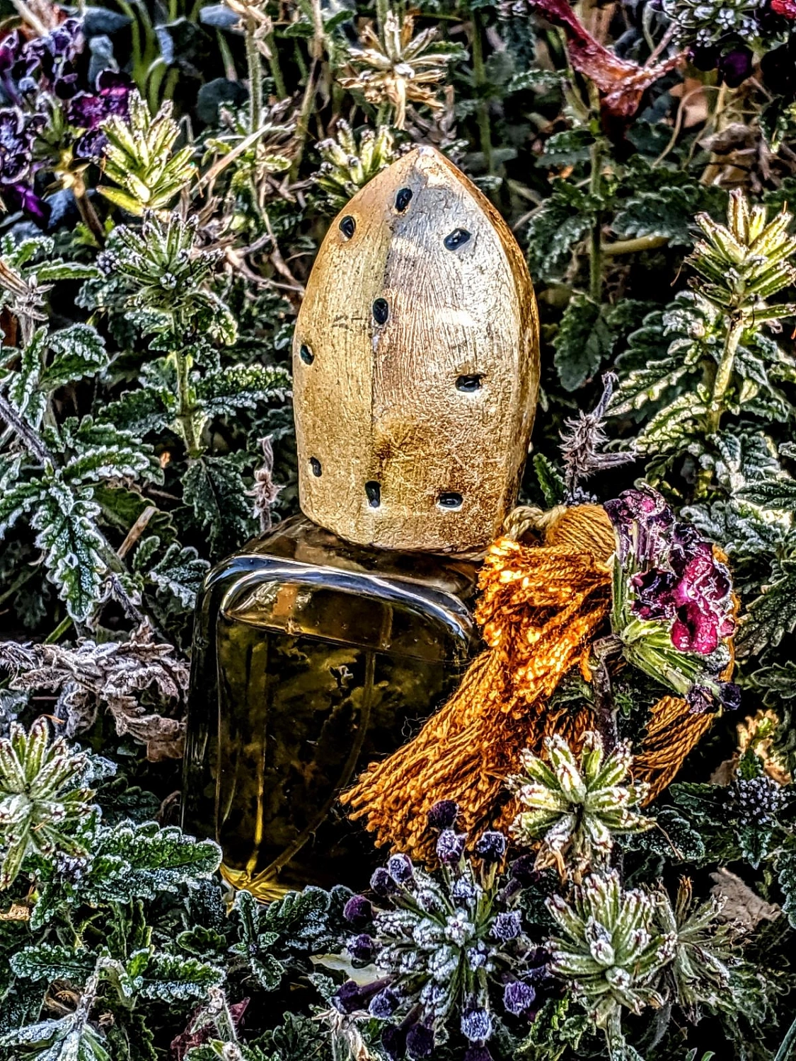 Mendittorosa Osang
