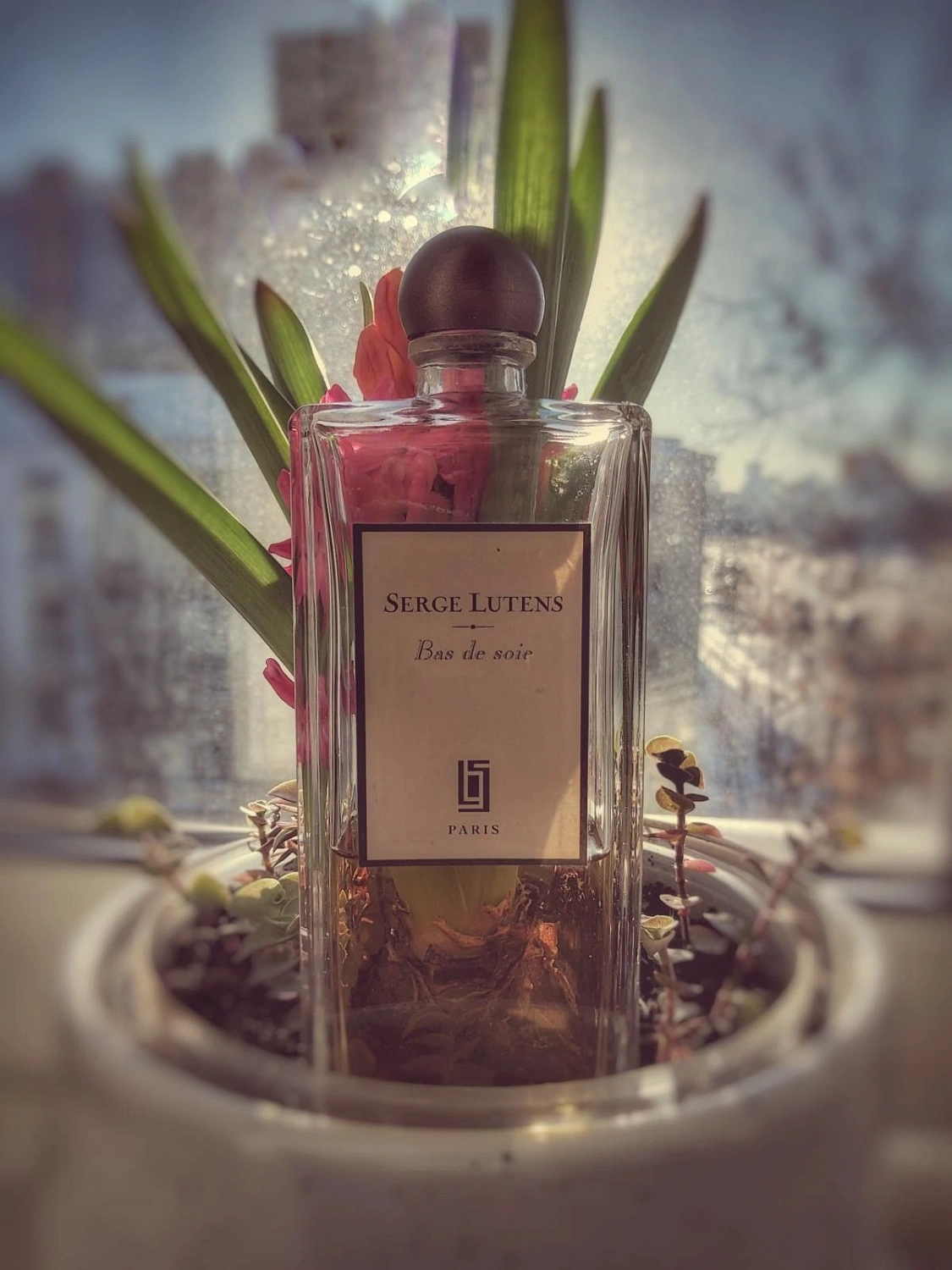 Serge Lutens Bas de Soie
