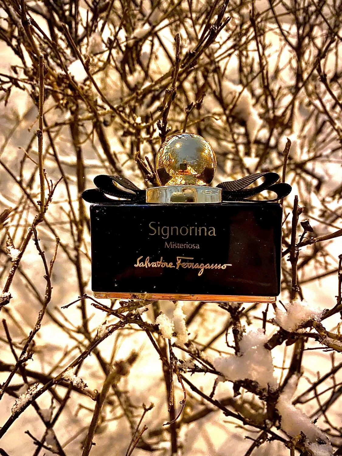 Salvatore Ferragamo Signorina Misteriosa