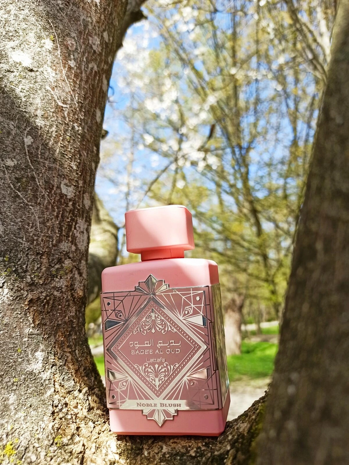 Lattafa Noble Blush