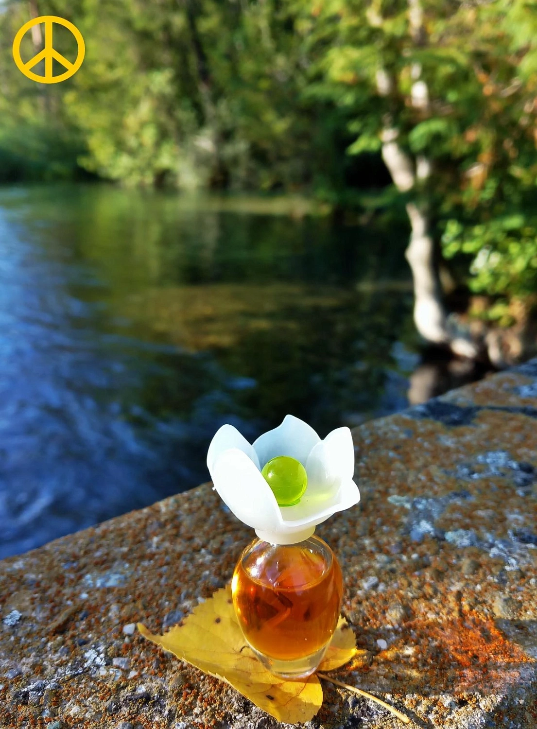 Chloé Fleur de Narcisse