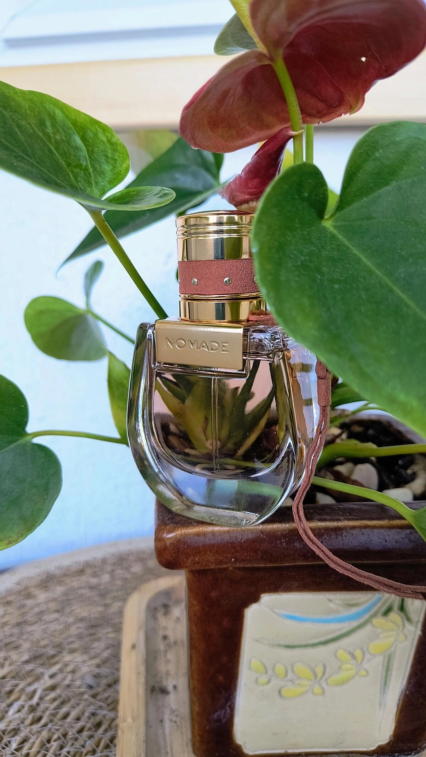 Chloé Nomade Absolu de Parfum