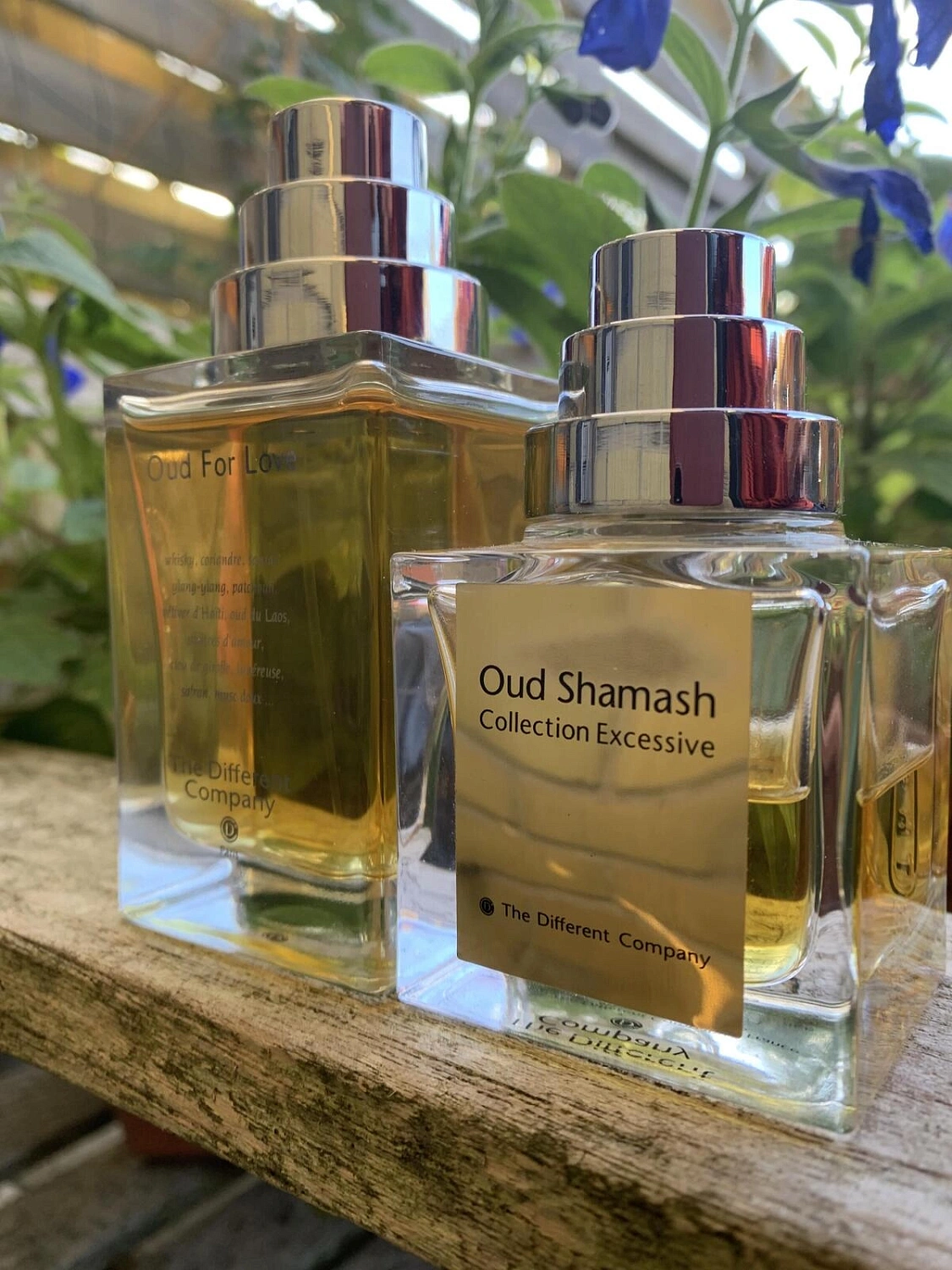 The Different Company Oud for Love