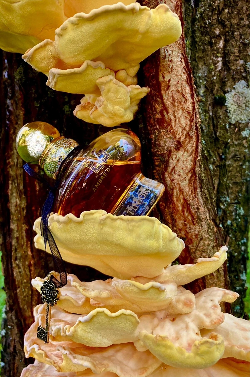 Eisenberg Ambre D'Orient Secret V