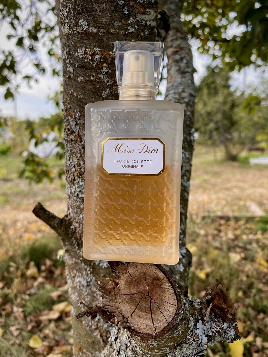 Christian Dior Miss Dior Eau de Toilette Originale