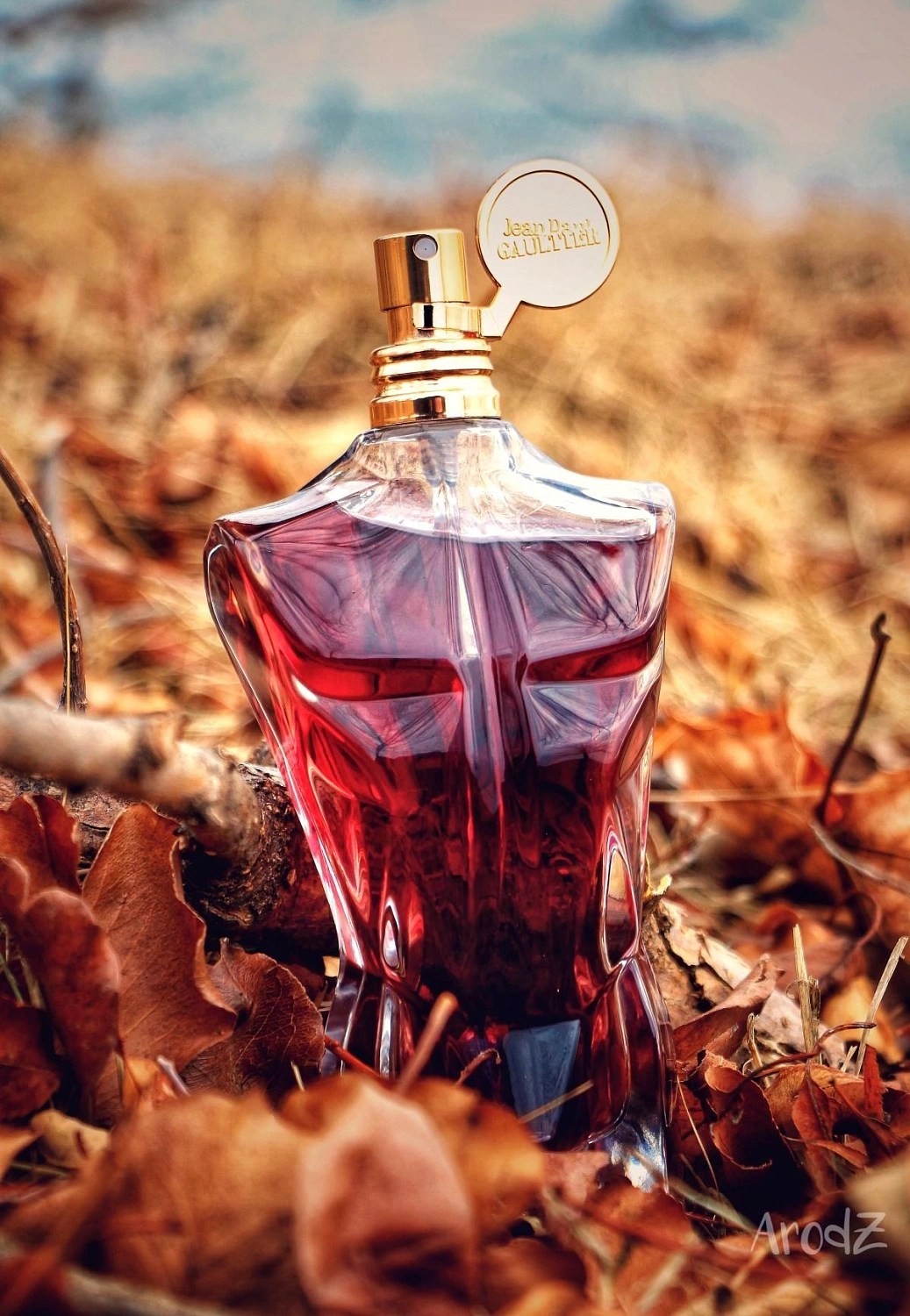 Jean Paul Gaultier Le Male Essence de Parfum