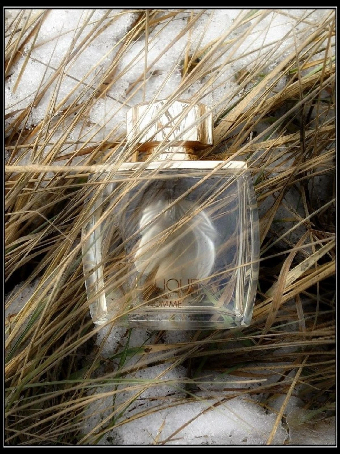 Lalique Pour Homme Equus