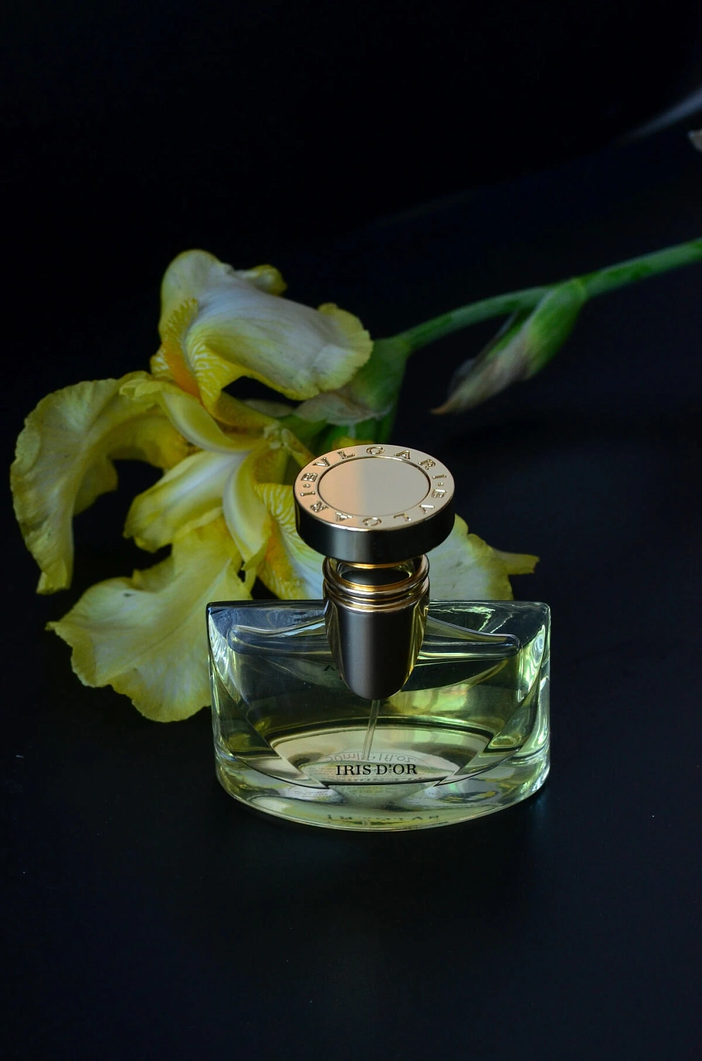 Bvlgari Splendida Iris d'Or
