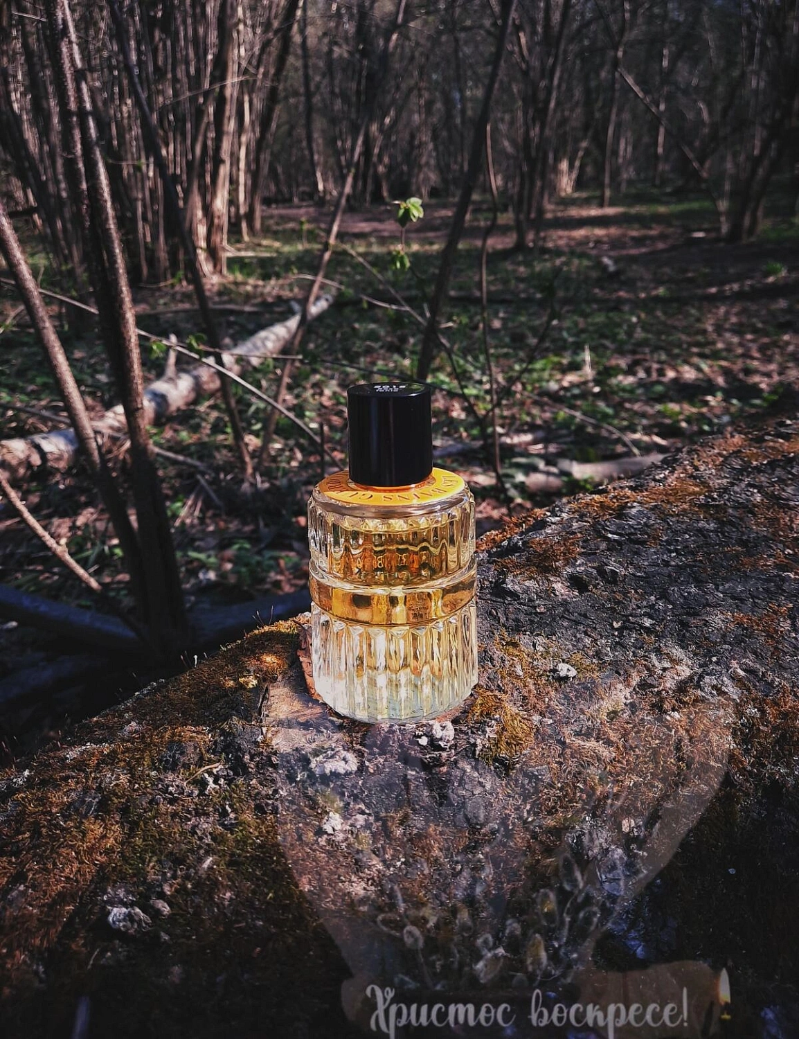 Les Bains Guerbois 2018 Roxo Tonic