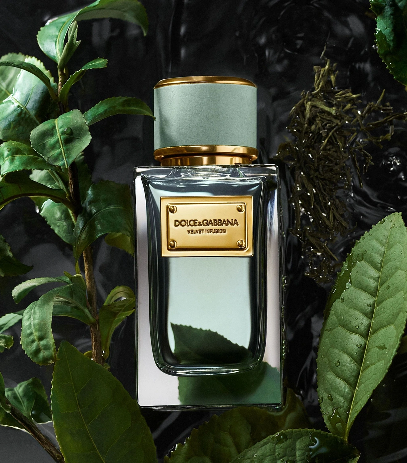 Dolce & Gabbana Velvet Infusion