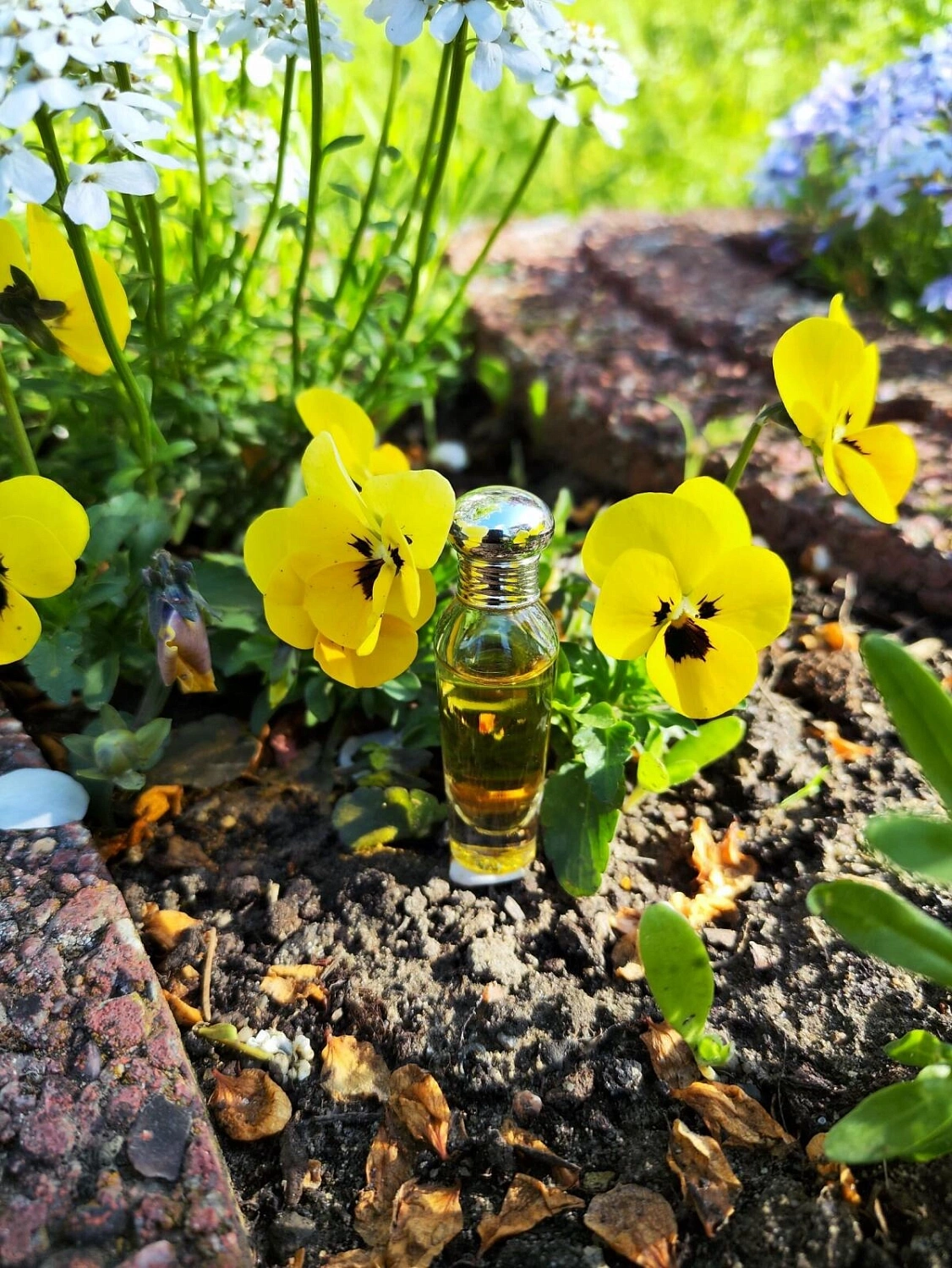 Laura Ashley L'Eau