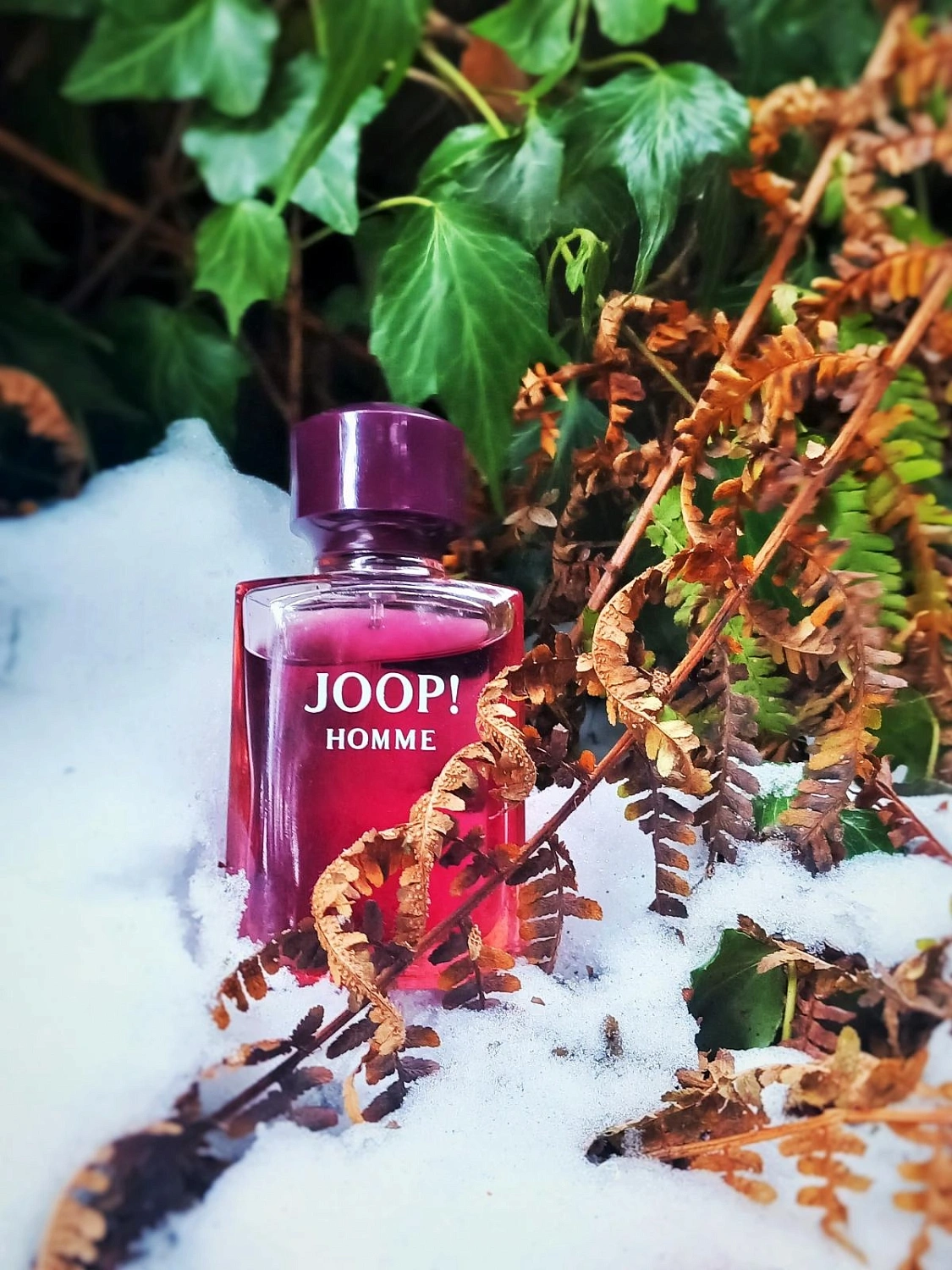 Joop! Homme