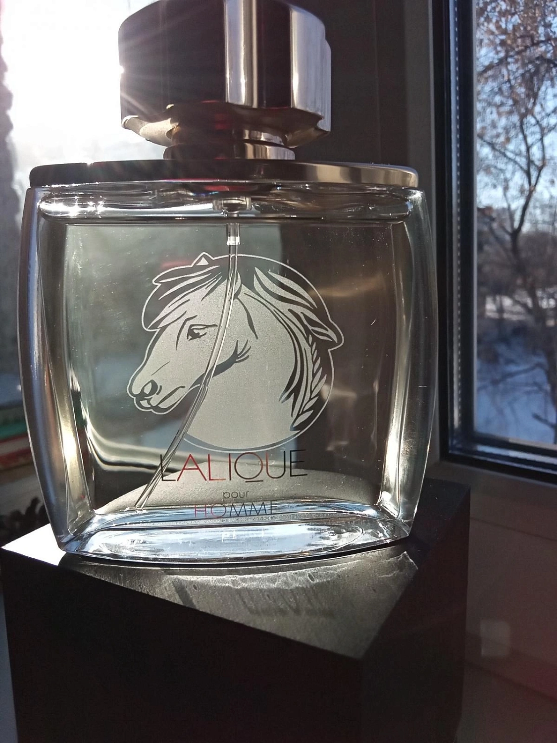 Lalique Pour Homme Equus