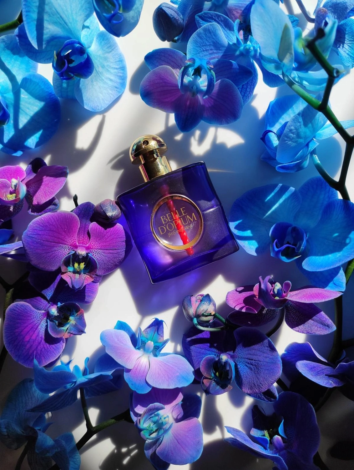 Yves Saint Laurent Belle d'Opium