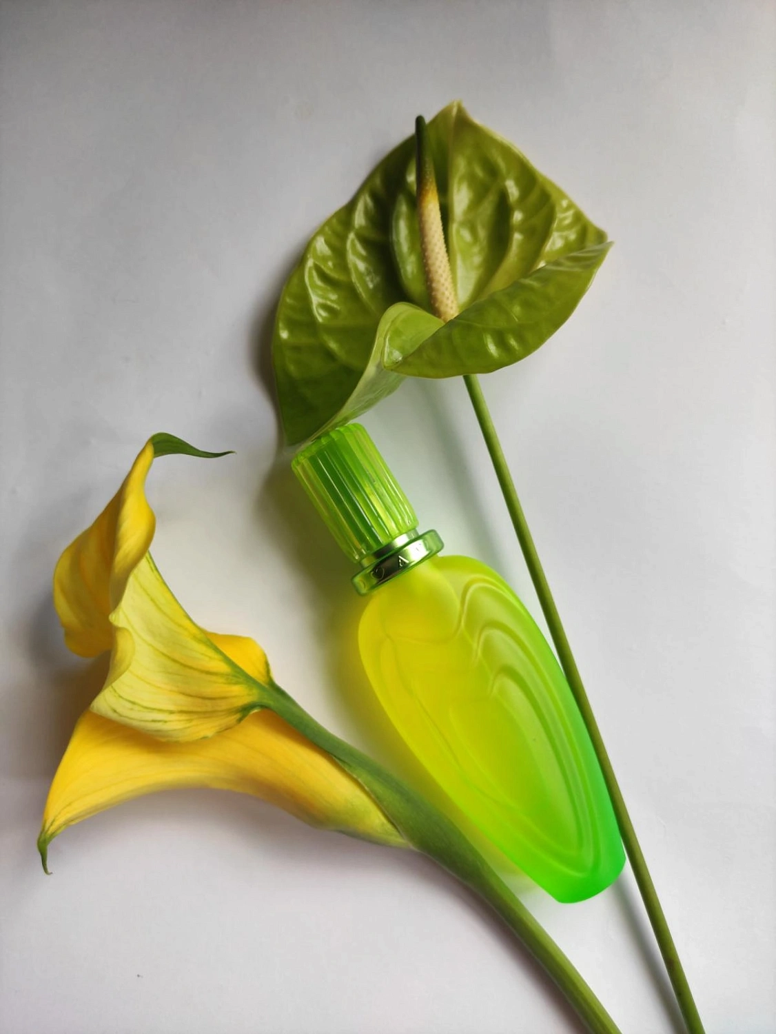 Escada Lily Chic