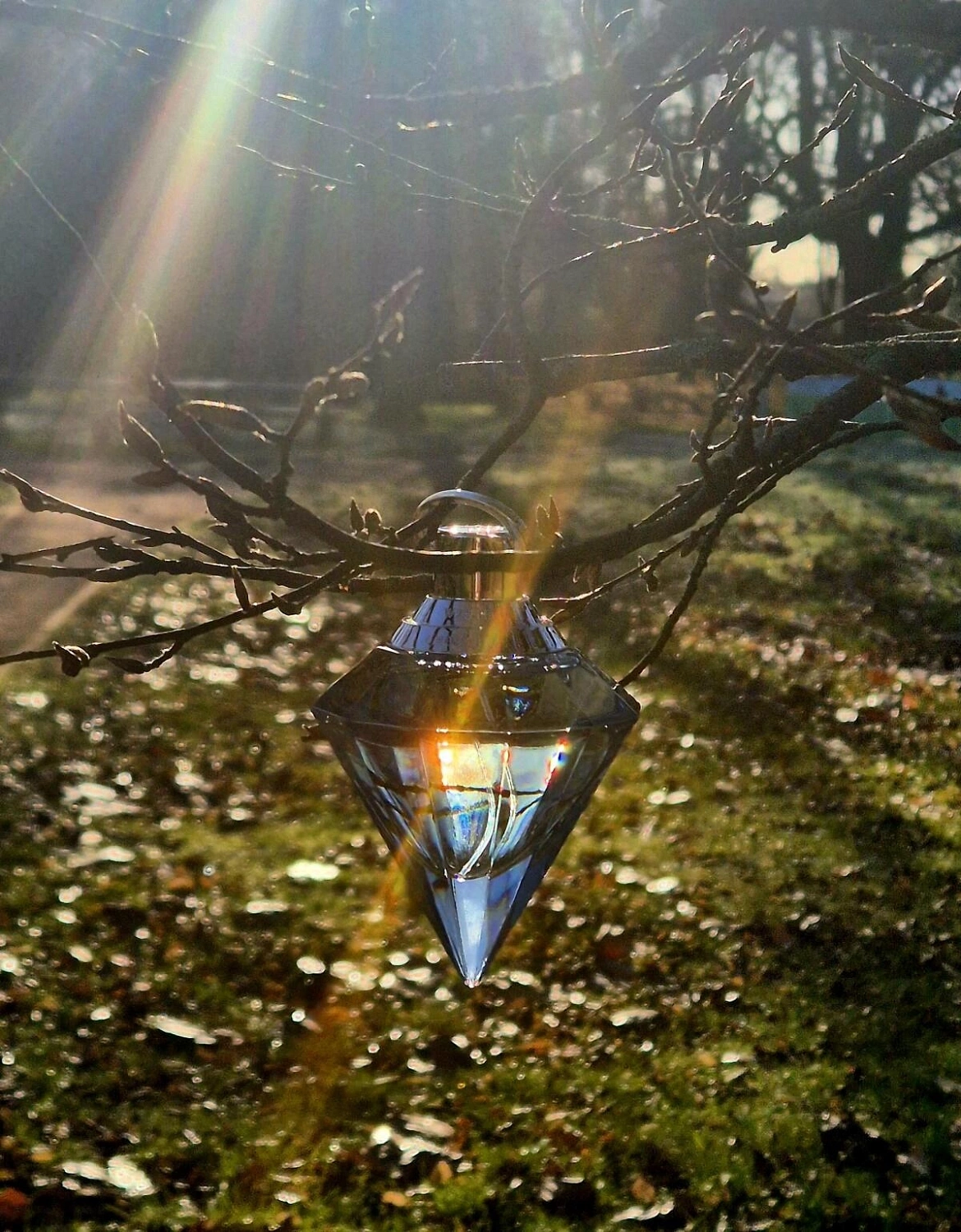 Chopard Wish