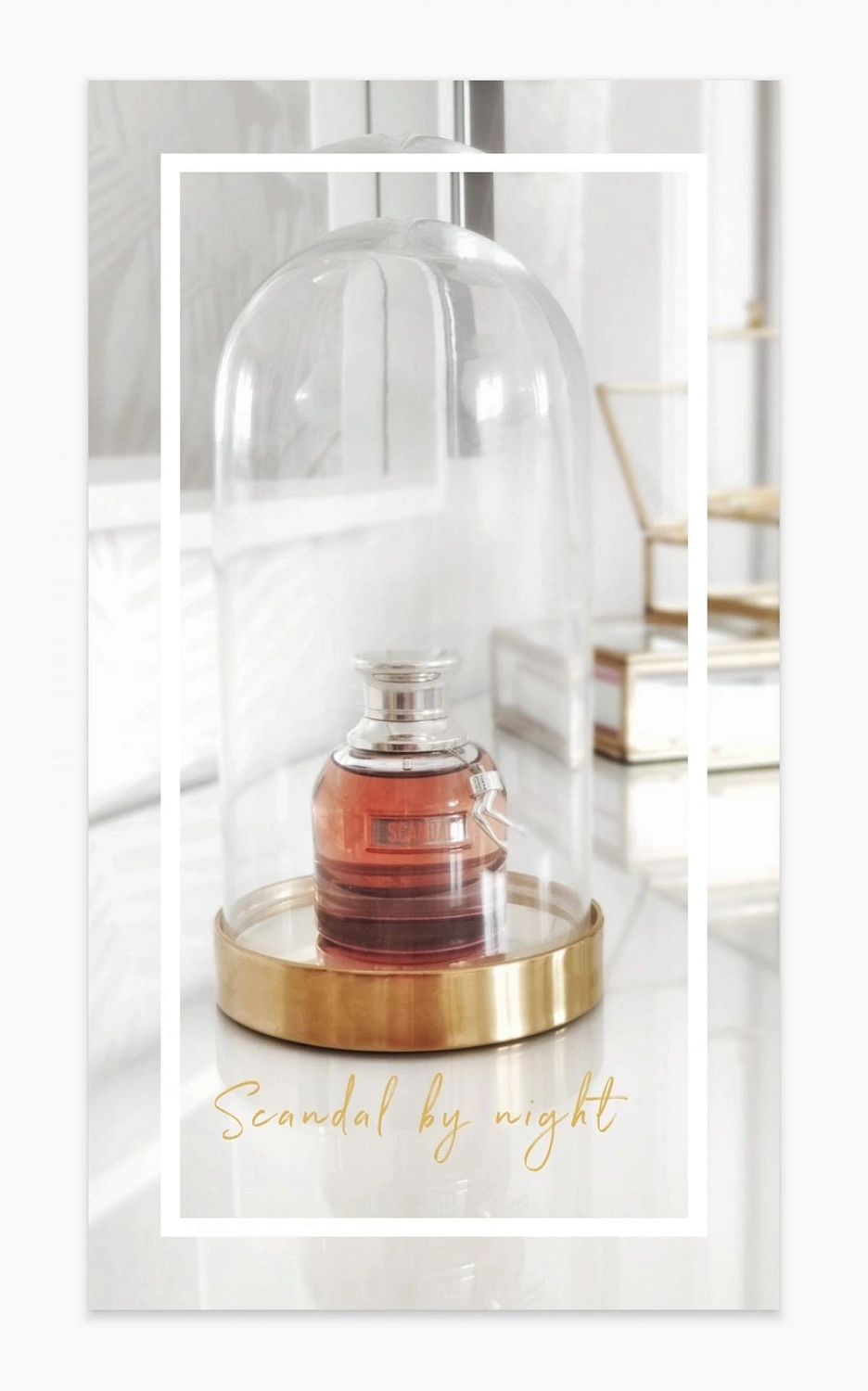 Jean Paul Gaultier Scandal By Night